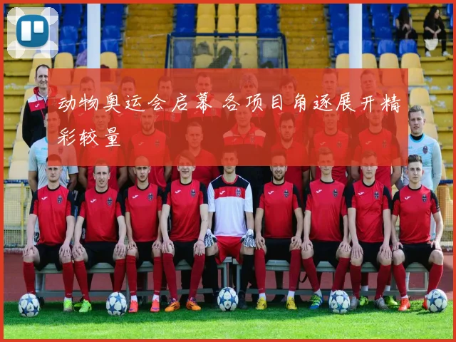 动物奥运会启幕 各项目角逐展开精彩较量