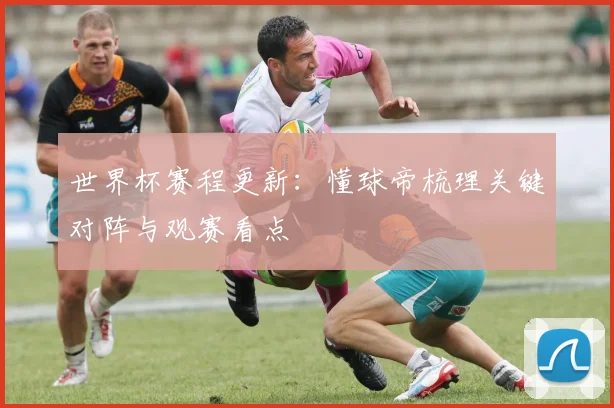 世界杯赛程更新：懂球帝梳理关键对阵与观赛看点