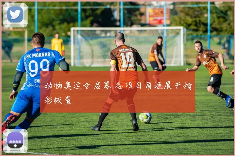 动物奥运会启幕 各项目角逐展开精彩较量