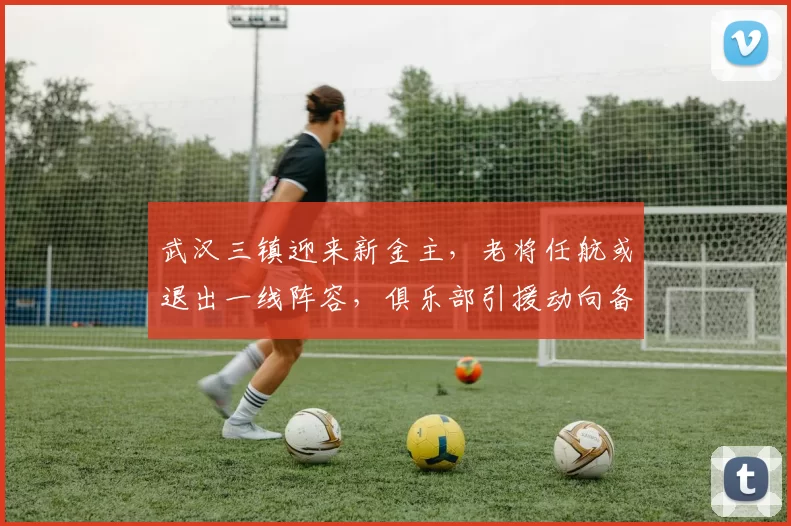 武汉三镇迎来新金主,老将任航或退出一线阵容,俱乐部引援动向备受关注_中超_后防_赛季