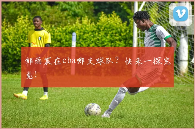 邹雨宸在cba哪支球队？快来一探究竟！