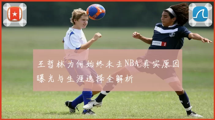 王哲林为何始终未去NBA 真实原因曝光与生涯选择全解析